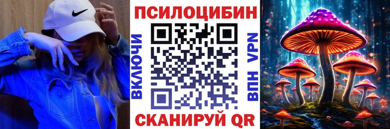 Галлюциногенные грибы Psilocybe  Ухта 